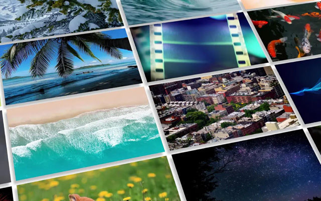 Adobe Stock Media Adobe Stock Media